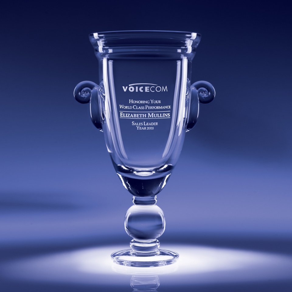 World Class Crystal Cup Award